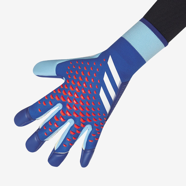 Predator Pro Hybrid GK Gloves - Blue Royal/Bliss Blue/White