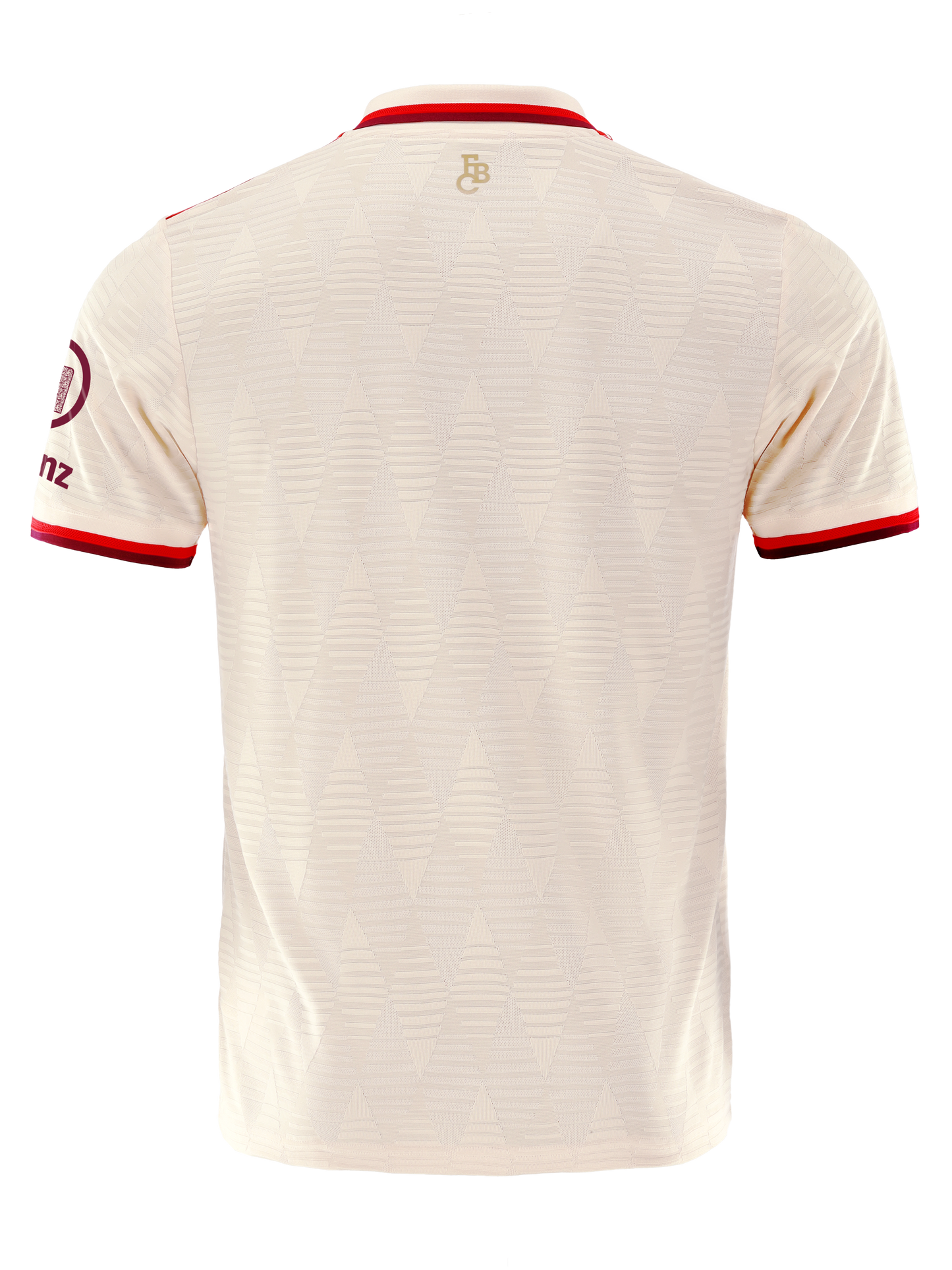 Bayern Munich 24/25 Third Jersey